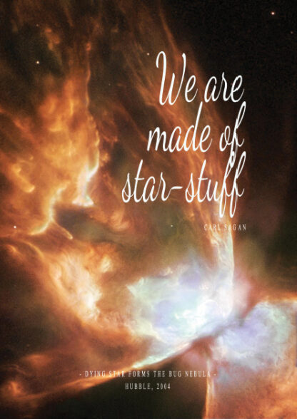 We are made of Star Stuff - The Bug Nebula