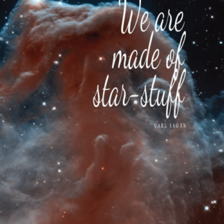 We are made of Star Stuff - Horsehead Nebula